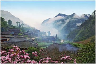 武隆土地乡小岩村肉牛出栏丰收，产业蓬勃发展