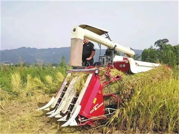宜机化改造助力秋收