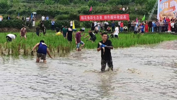 稻田摸鱼节活动3.jpg