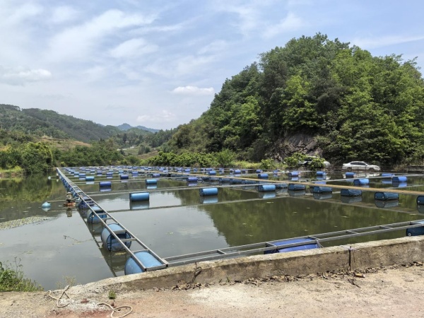 丰都县生态渔1.jpg
