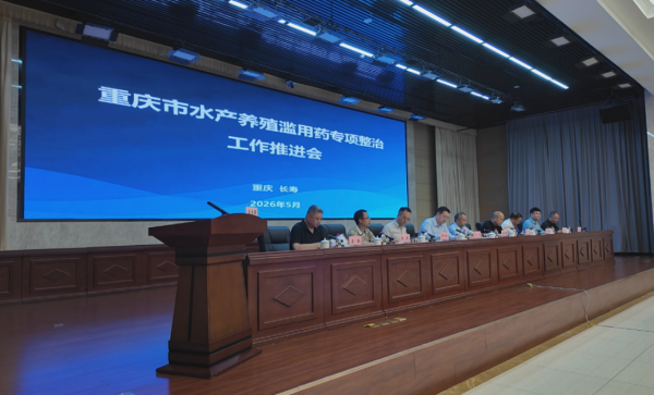 专项整治工作推进会1.png