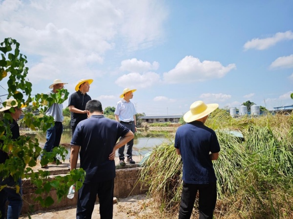 国家大宗淡水鱼2.jpg
