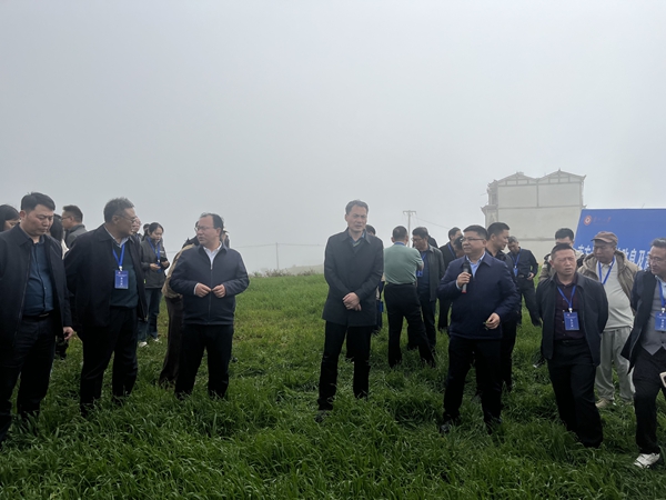 图2 现场观摩1.jpg