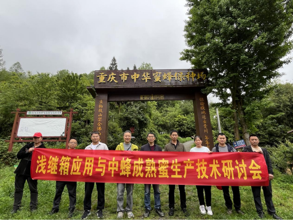 图片1(1).png