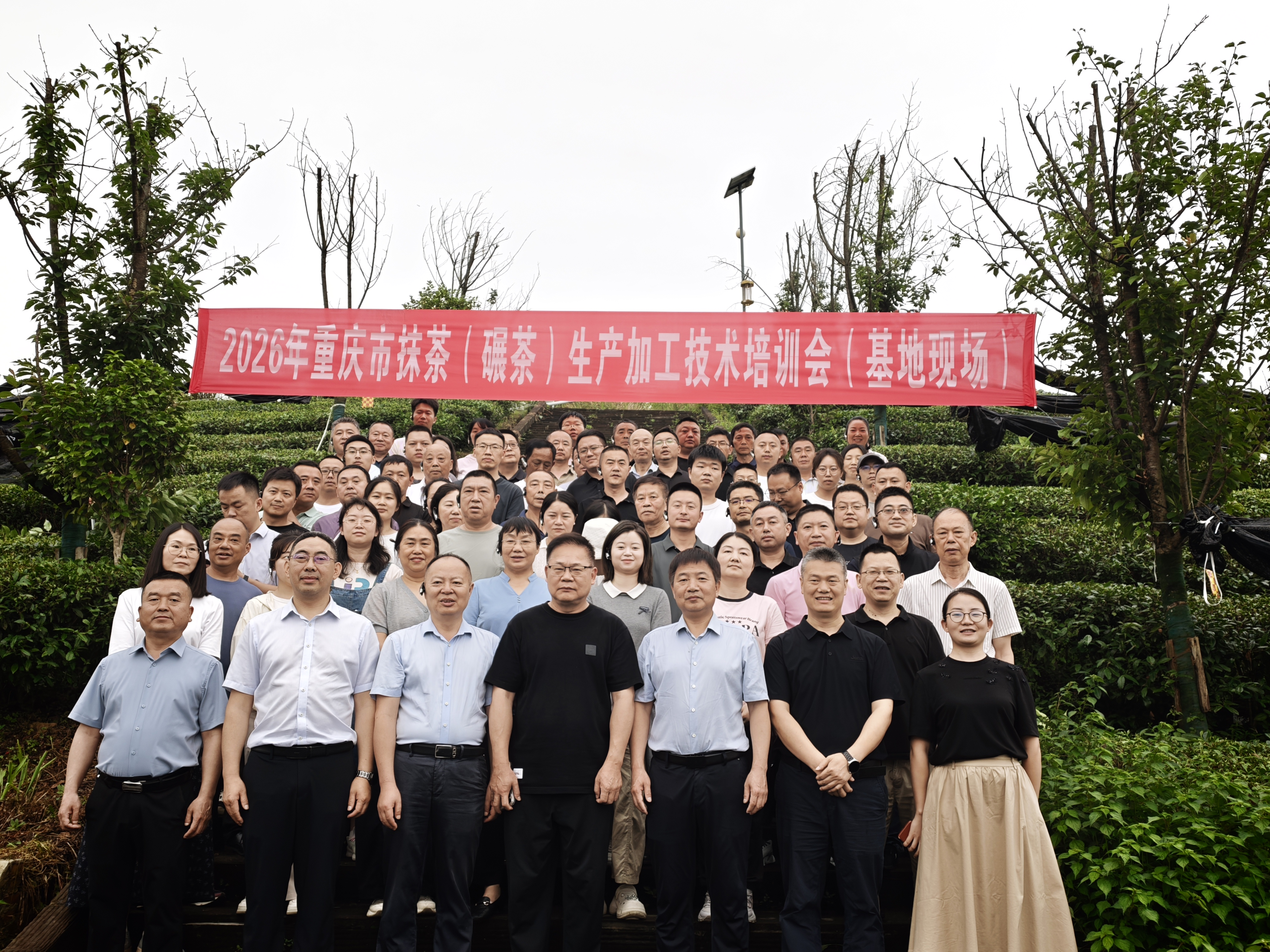 图片11.png