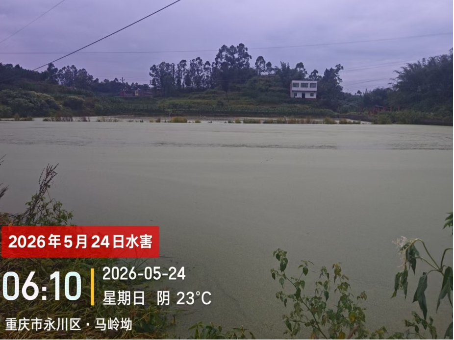 图片9.png