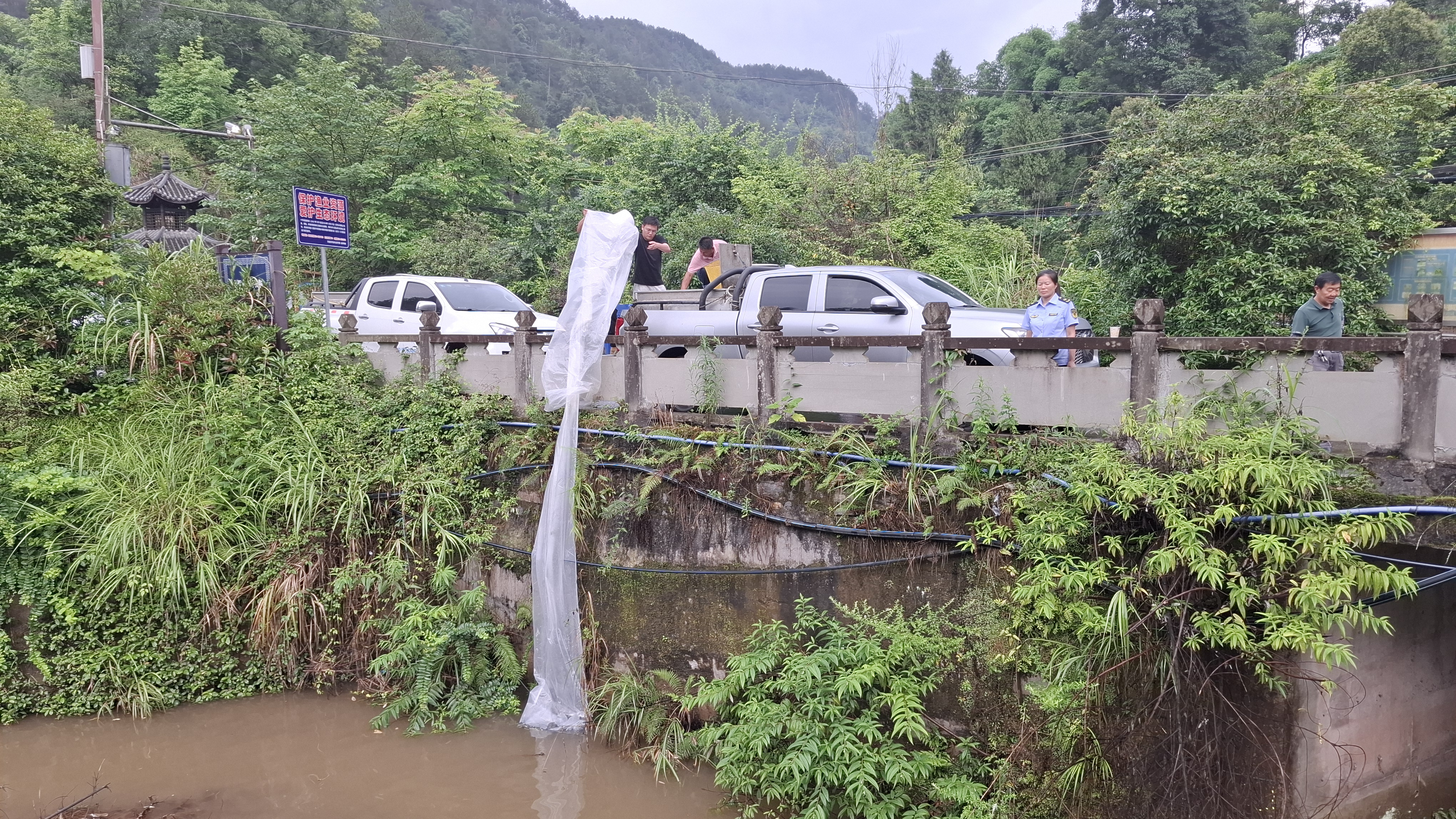 图2.万盛经开区五布河增殖放流现场.jpg