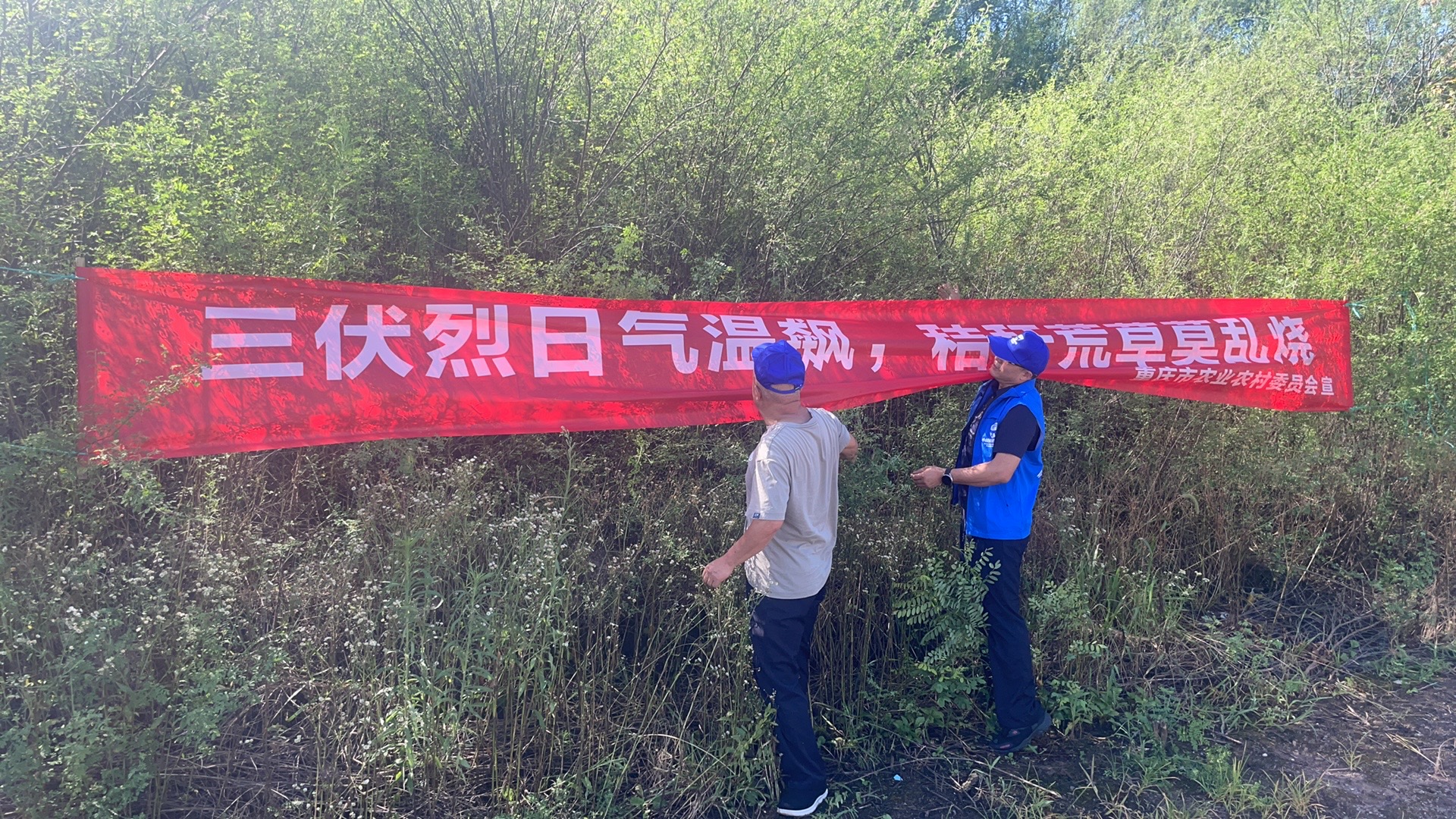 微信图片_20260727112137_218_145.jpg